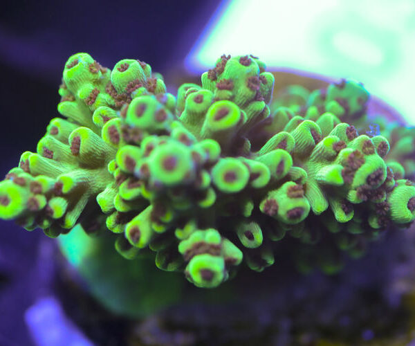 import placeholder for 3058929