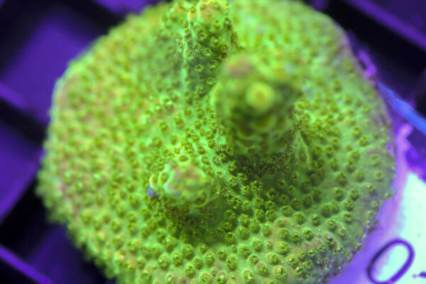 import placeholder for 3058926