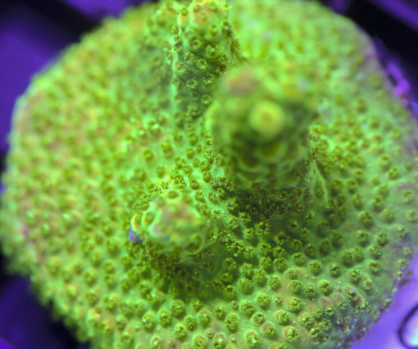 import placeholder for 3058926