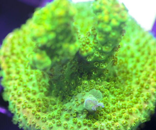 import placeholder for 3058924