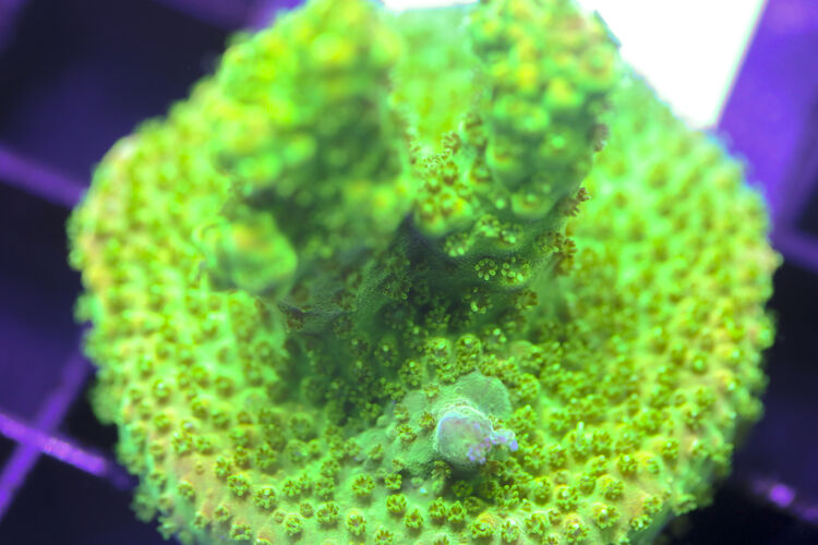 import placeholder for 3058924