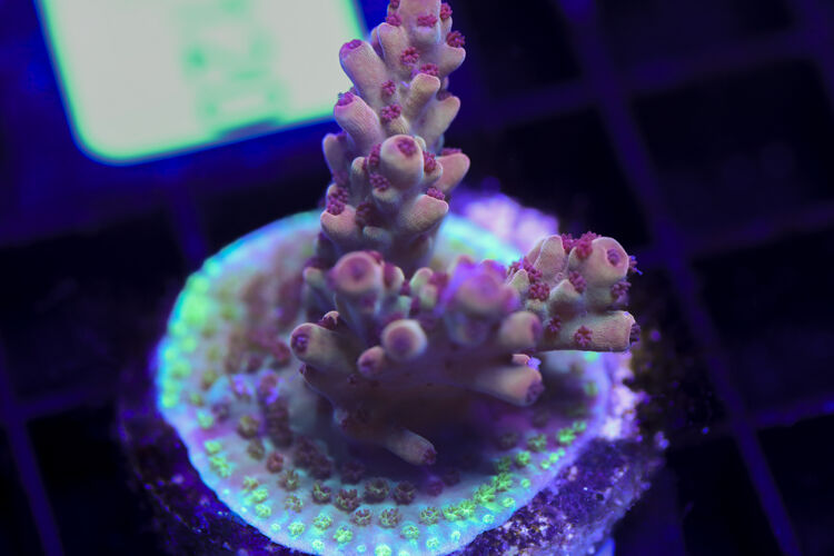 import placeholder for 3058916