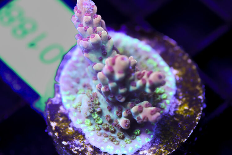 import placeholder for 3058914