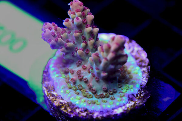 import placeholder for 3058913