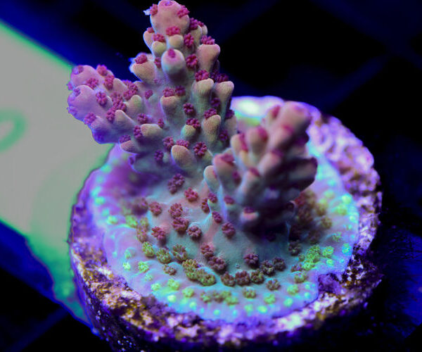 import placeholder for 3058913