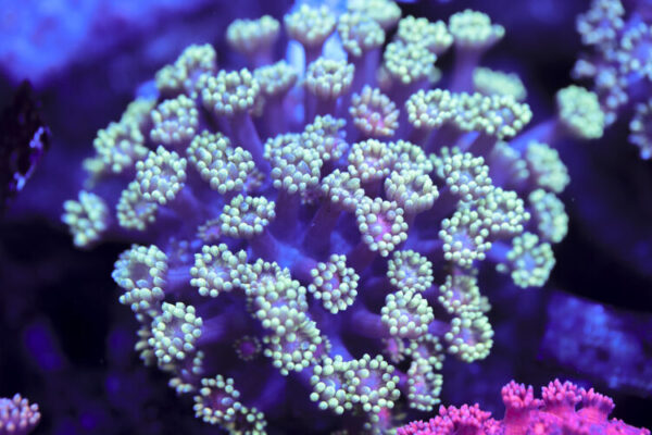 import placeholder for 3057404