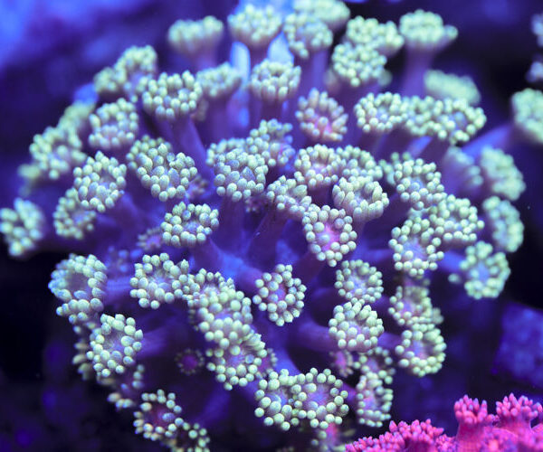 import placeholder for 3057404