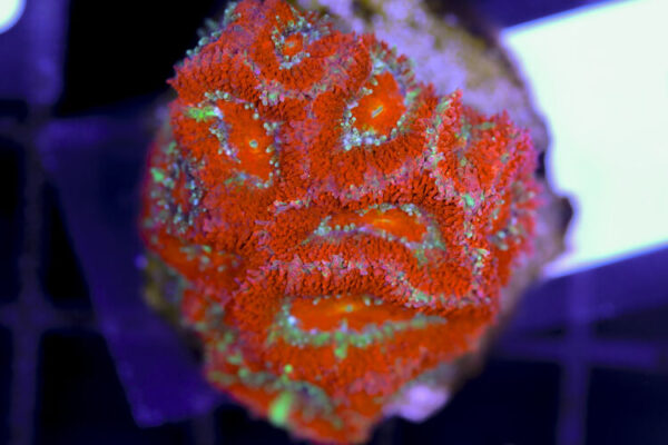 import placeholder for 3057399