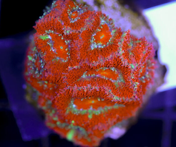 import placeholder for 3057399