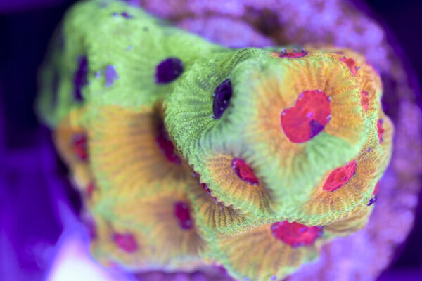 import placeholder for 3057395