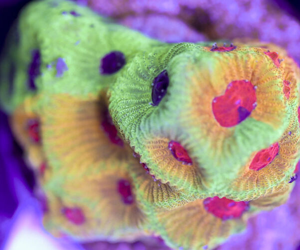 import placeholder for 3057395