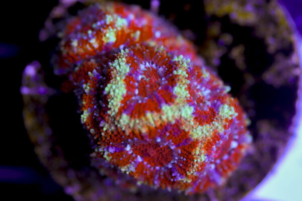 import placeholder for 3057394