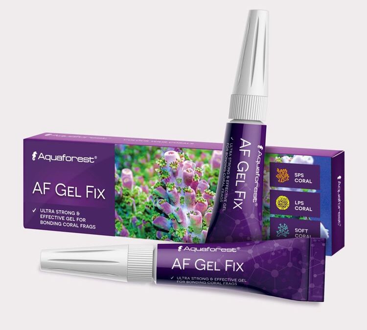 import placeholder for 2409779