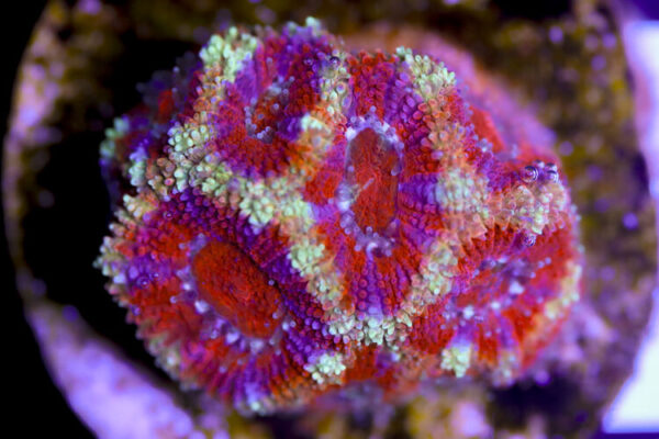 import placeholder for 3057393