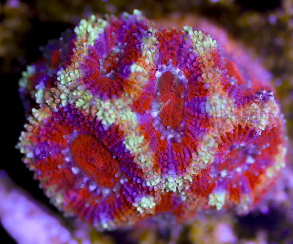 import placeholder for 3057393