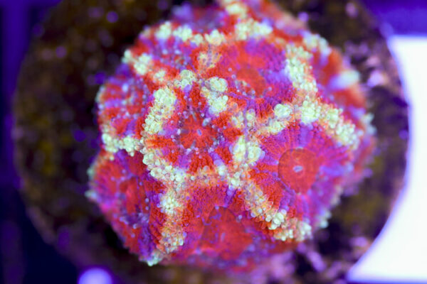 import placeholder for 3057391