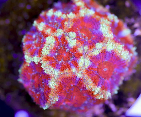 import placeholder for 3057391