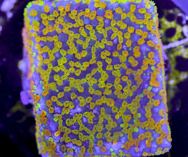 import placeholder for 3057385