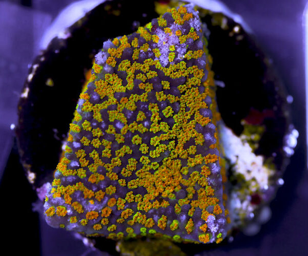 import placeholder for 3057382