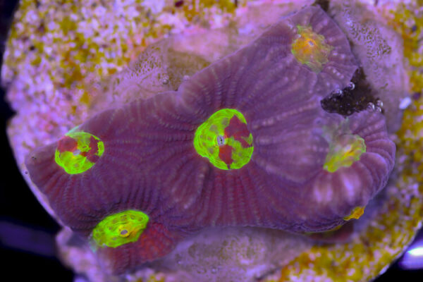 import placeholder for 3057381