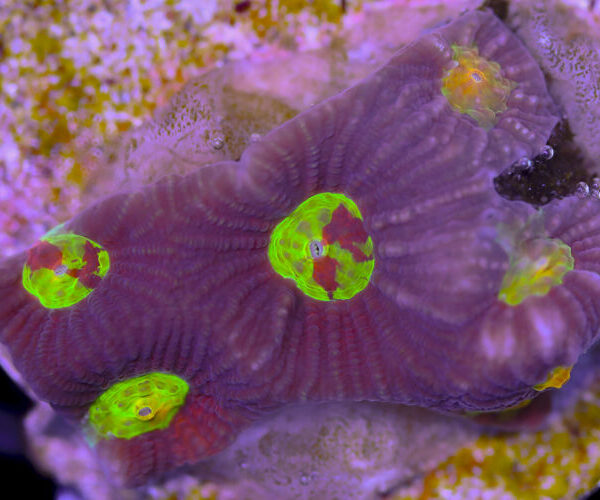 import placeholder for 3057381