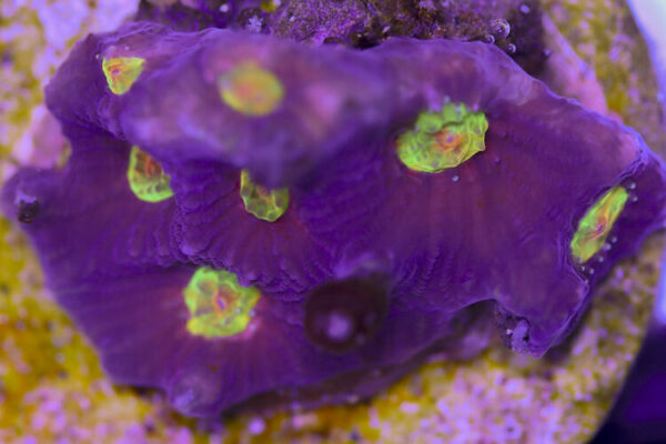 import placeholder for 3057380