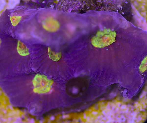 import placeholder for 3057380