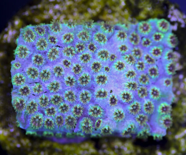 import placeholder for 3057377