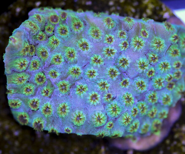 import placeholder for 3057376