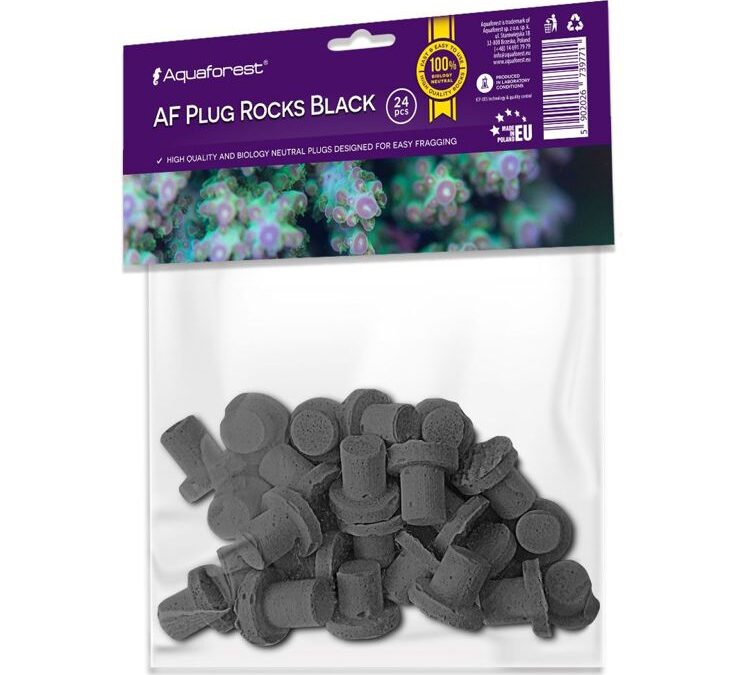 import placeholder for 2409609