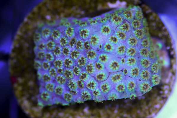 import placeholder for 3057375