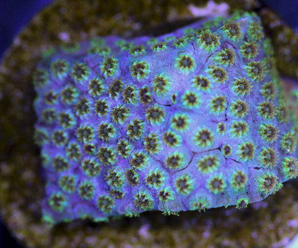 import placeholder for 3057375