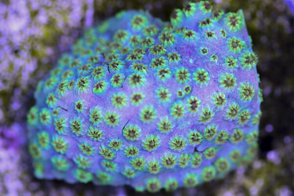 import placeholder for 3057374