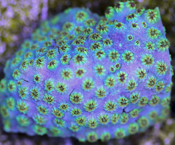 import placeholder for 3057374