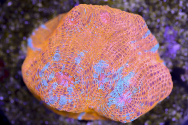 import placeholder for 3057373