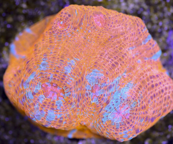 import placeholder for 3057373