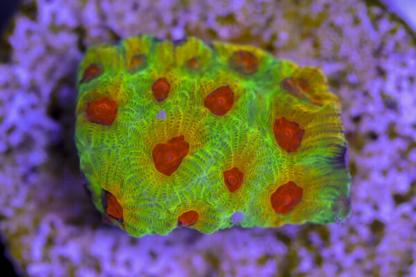 import placeholder for 3057369