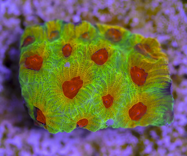 import placeholder for 3057369