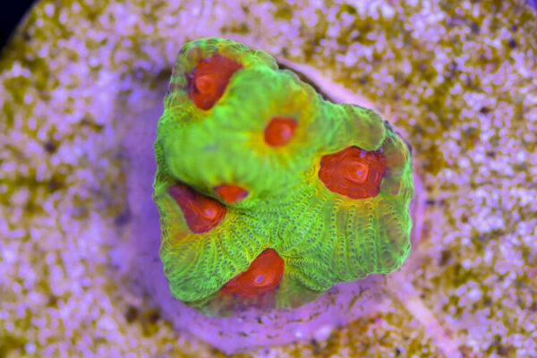 import placeholder for 3057368