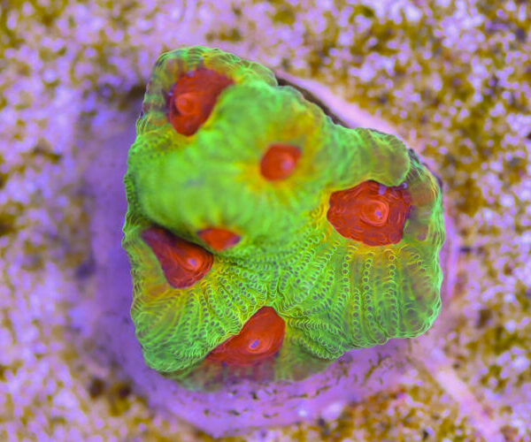 import placeholder for 3057368