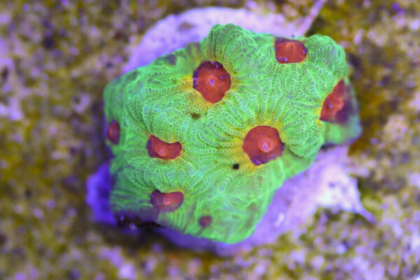 import placeholder for 3057365