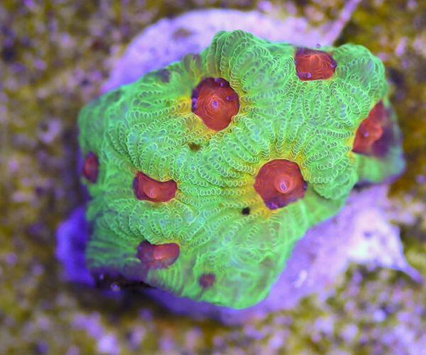 import placeholder for 3057365