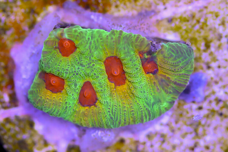 import placeholder for 3057364