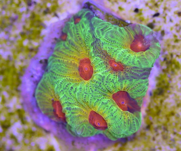 import placeholder for 3057363