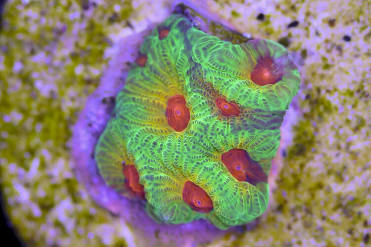 import placeholder for 3057363