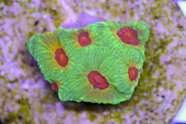 import placeholder for 3057362