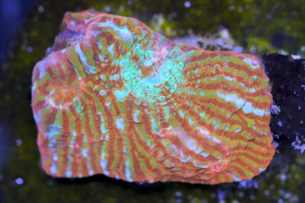 import placeholder for 3057357