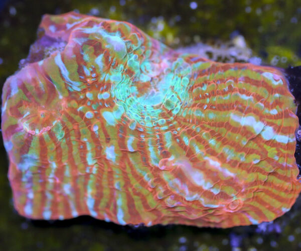 import placeholder for 3057357