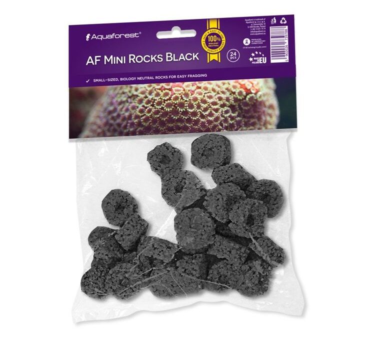 import placeholder for 2409598