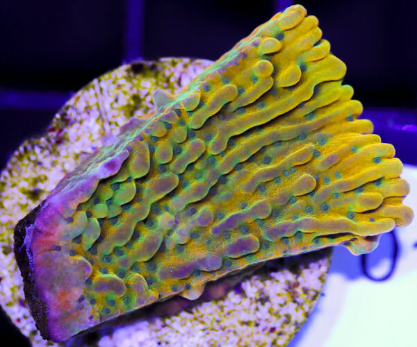 import placeholder for 3057354